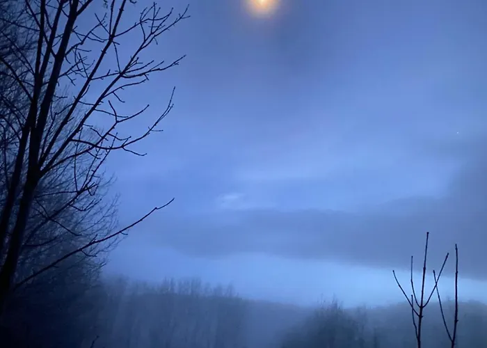 Gospodarstwo wiejskie De La Condamine